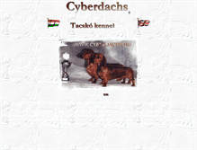 Tablet Screenshot of cyberdachs.hu